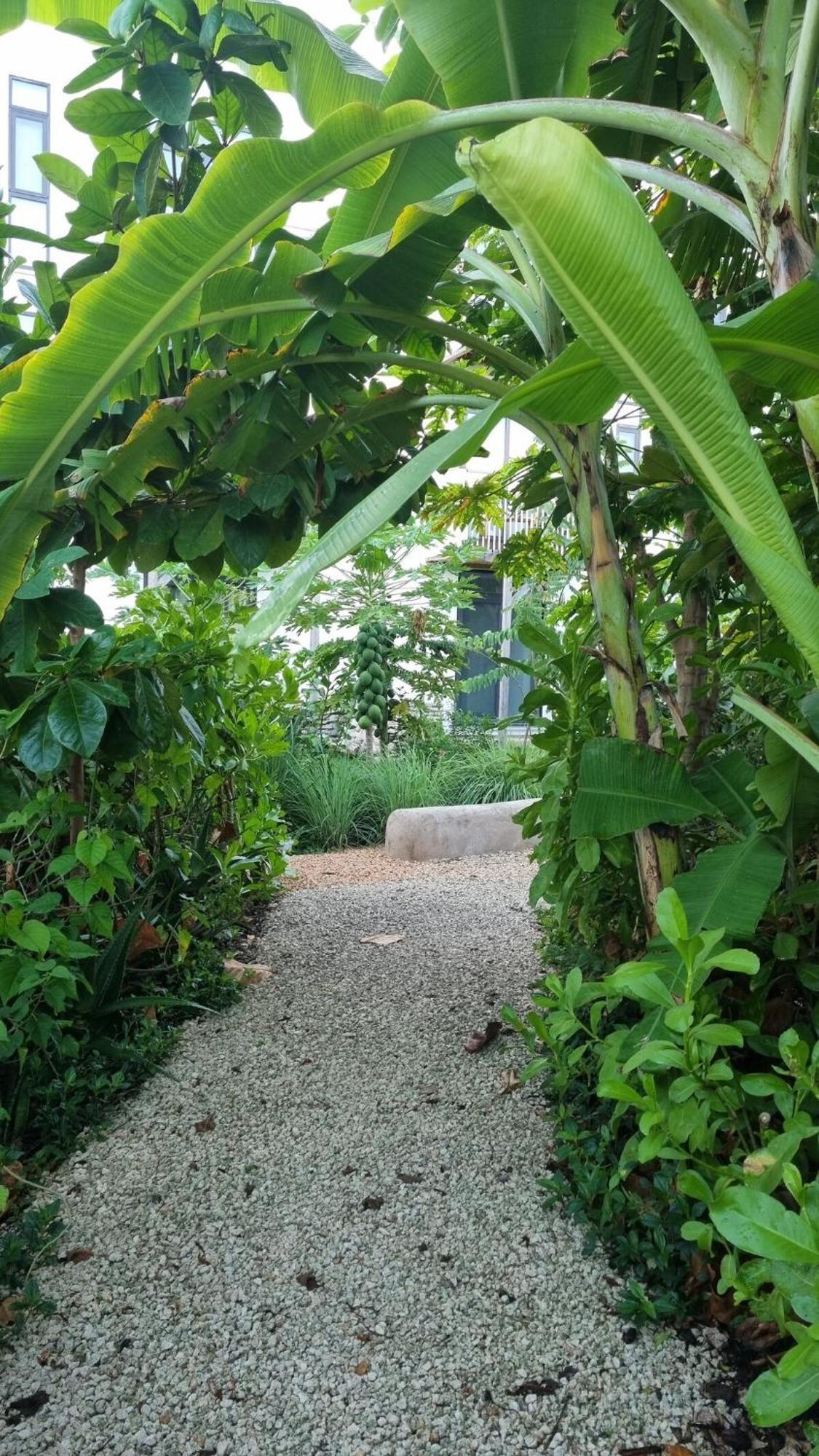 Tropical Haven At The Soul, Apartament