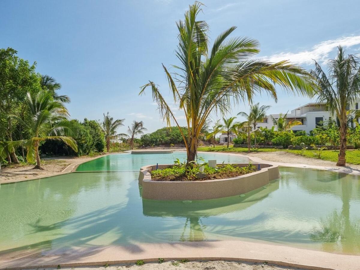 Tropical Haven At The Soul, Paje