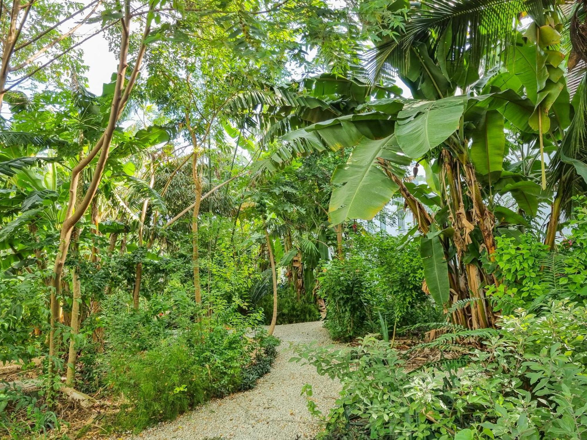 Tropical Haven At The Soul, Apartament *